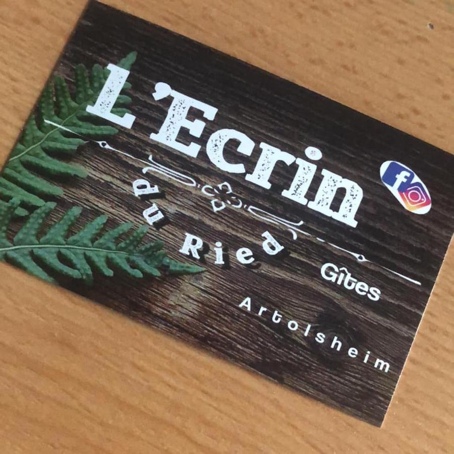 Gite Cosy L'Ecrin Du Ried Proche Europa-Park Artolsheim Екстер'єр фото